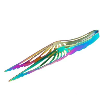 Wings Wings Rainbow